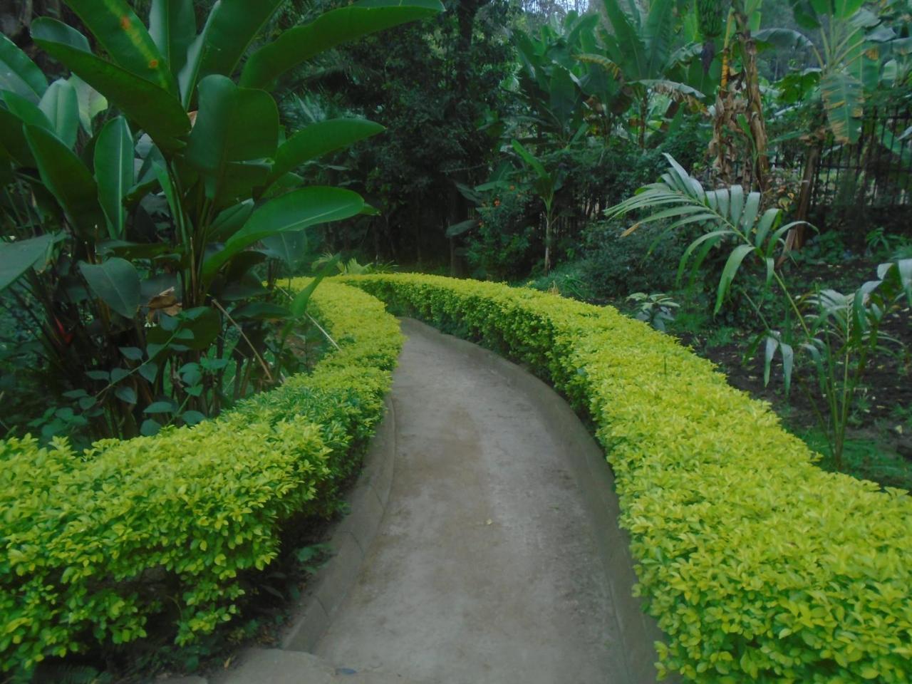 Themi Valley Eco And Cultural Tourism Homestay Arusha Eksteriør billede