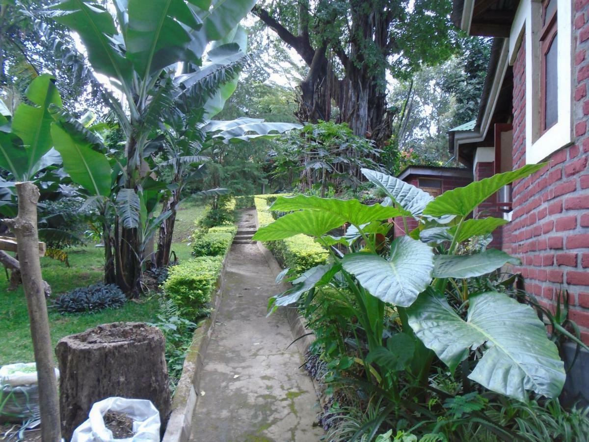 Themi Valley Eco And Cultural Tourism Homestay Arusha Eksteriør billede
